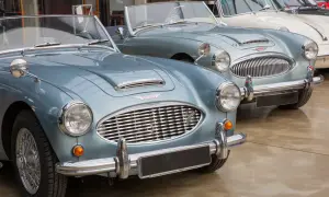 Zwei Austin-Healey Roadster in Hellblau, bereit, um sie aus England zu importieren. Klassische Schönheit auf Rädern.