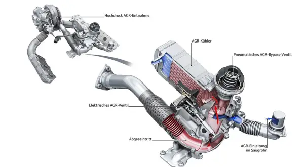 Schnittdarstellung eines AGR-Systems für ein Auto. Zeigt AGR-Kühler, Ventile und AGR-Entnahme.