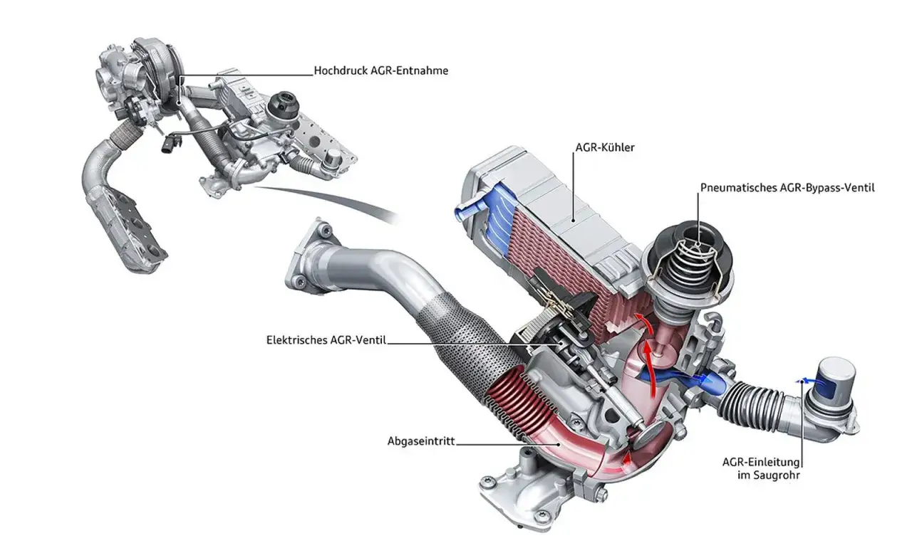 Schnittzeichnung eines AGR-Systems f&uuml;r ein Auto. Zeigt AGR-K&uuml;hler, Ventile und AGR-Einleitung.