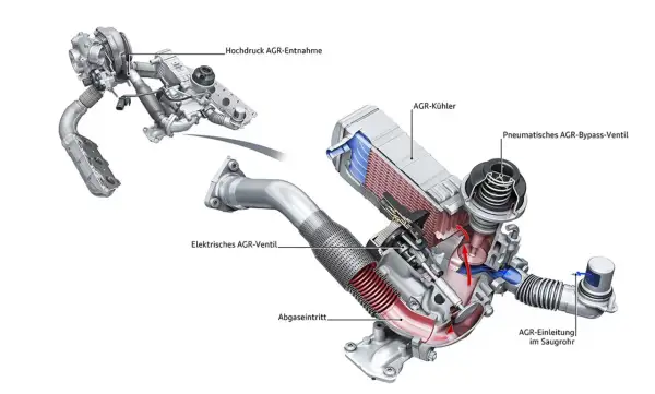 Schnittdarstellung eines AGR-Systems für ein Auto. Zeigt AGR-Kühler, Ventile und AGR-Entnahme.